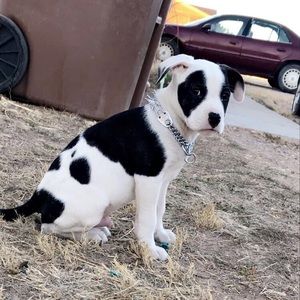 Meet your Posher, Senaida